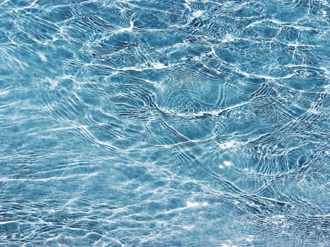 ¡Conoce el ingrediente mágico para prevenir arrugas!