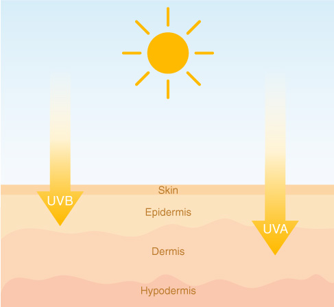 Should I apply sunscreen daily? - Infinitek Paris