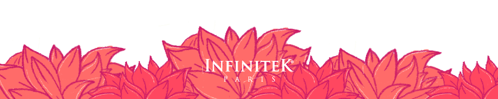 Infinitek Paris
